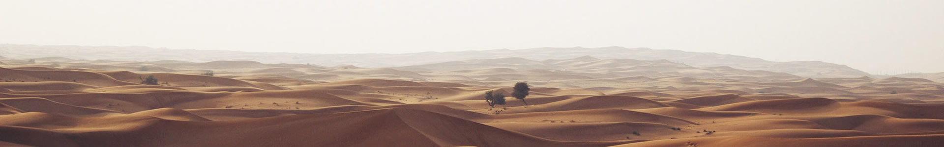ɽջƼ޹˾